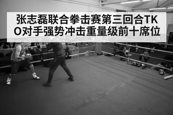 boxer training gym