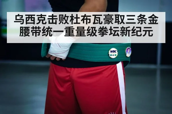 boxing championship belts